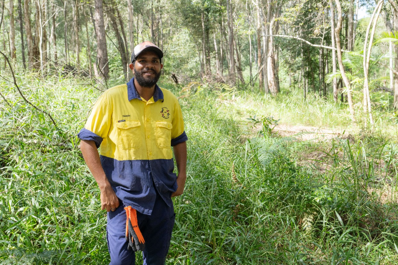 Landscaping and outdoor services